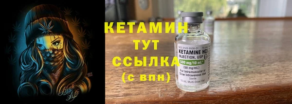 индика Балахна